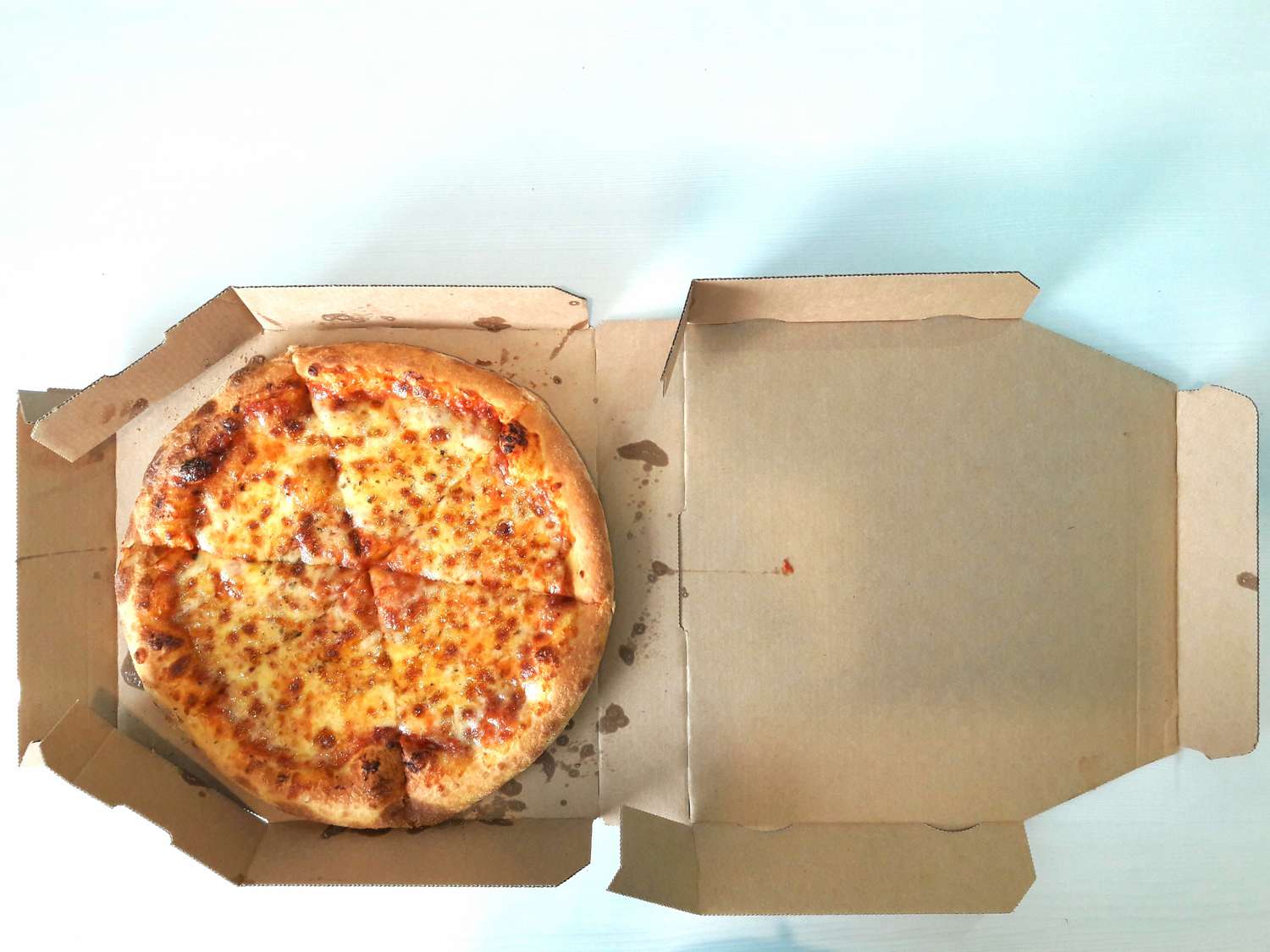 Are Pizza Boxes Compostable: Considering Environmental Options for Pizza Boxes